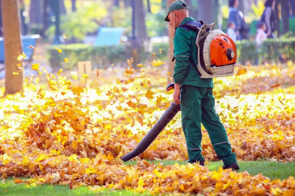 Seasonal Yard Cleanup project example by Lillarians Contractor