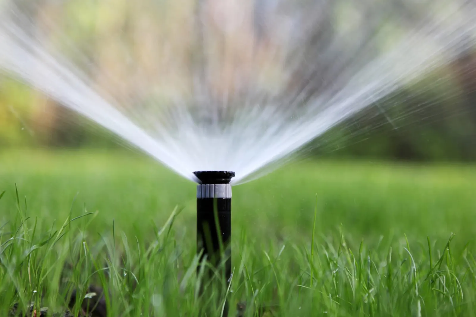 Irrigation & Sprinkler Systems project example by Lillarians Contractor