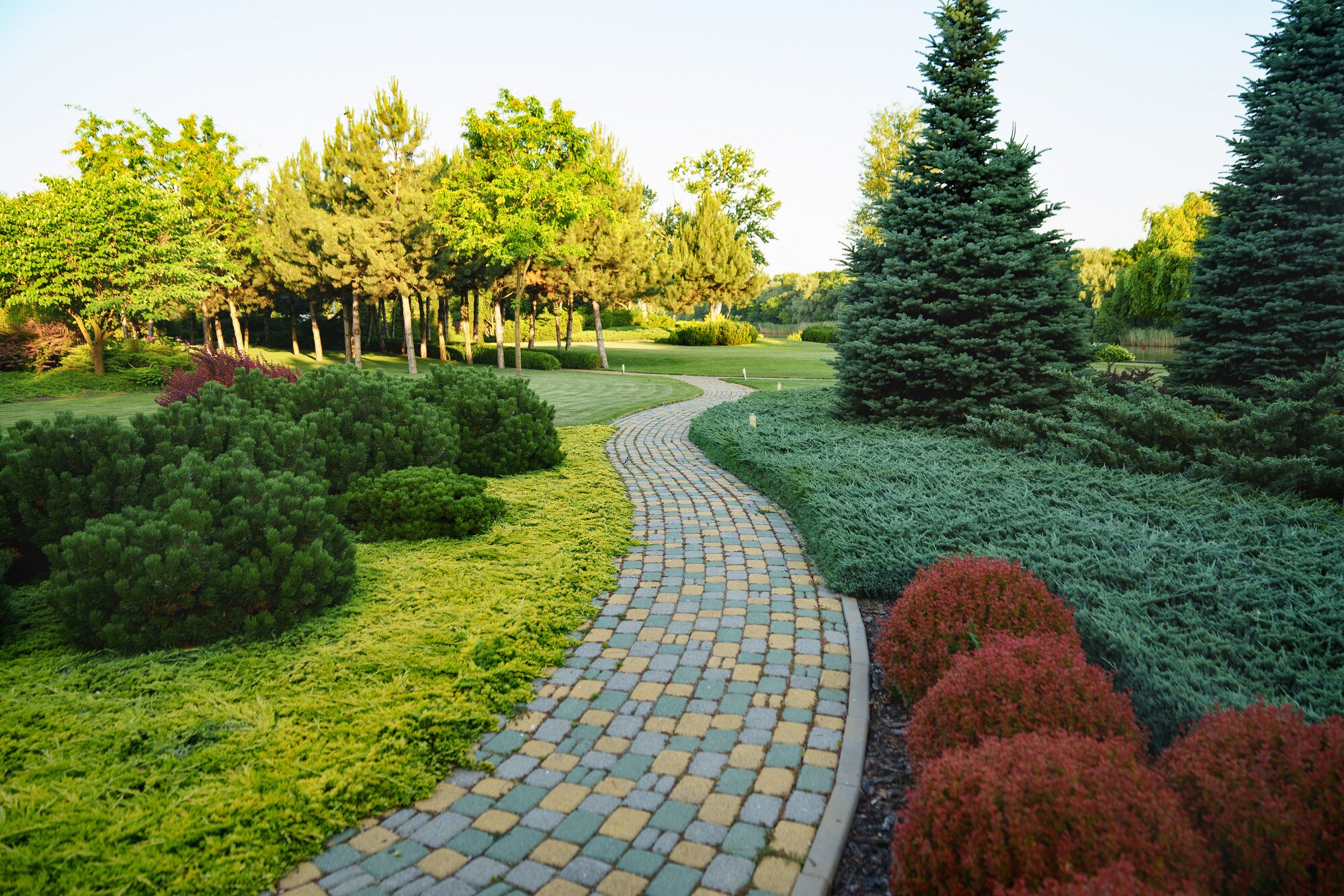 Landscape Design & Installation — professional lawn care & landscaping in the DMV